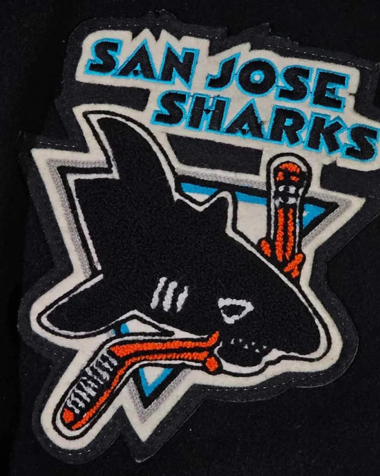 90’s San Jose Sharks Delong Black Varsity Jacket
