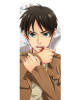 Attack on Titan Cotton Jacket Attack on Titan Cotton Jacket