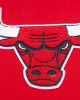 Chicago Bulls Classic Red Wool And Leather Varsity Jacket Chicago Bulls Classic Red Wool And Leather Varsity Jacket