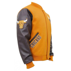NBA Championship Chicago Bulls Logo Varsity Jacket