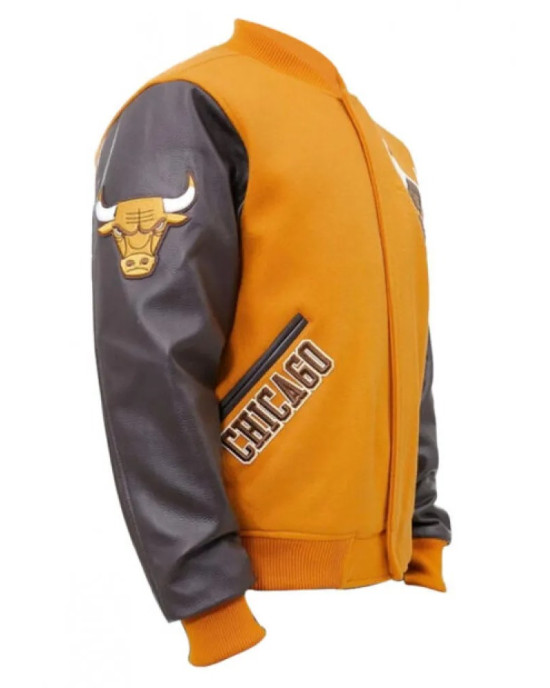 NBA Championship Chicago Bulls Logo Varsity Jacket