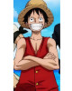 One Piece Monkey D. Luffy Anime Red Vest
