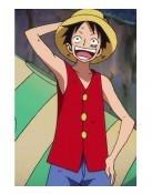 One Piece Monkey D. Luffy Anime Red Vest