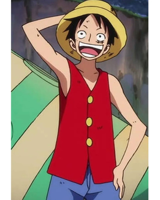 One Piece Monkey D. Luffy Anime Red Vest