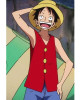 One Piece Monkey D. Luffy Anime Red Vest