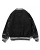 Softball Varsity Jacket Softball Varsity Jacket