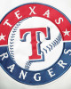 White/Blue Texas Rangers Clean-Up Hitter Jacket White/Blue Texas Rangers Clean-Up Hitter Jacket