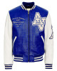 Wildcat Champion Varsity Real Leather Jacket