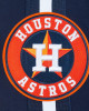 Houston Astros Current Logo Game Day Navy Jacket Houston Astros Current Logo Game Day Navy Jacket