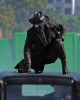 Nicolas Cage Spiderman Noir First Look Black Leather Coat